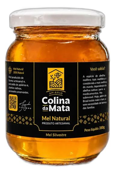 Mel Puro 100% Abelha 350g